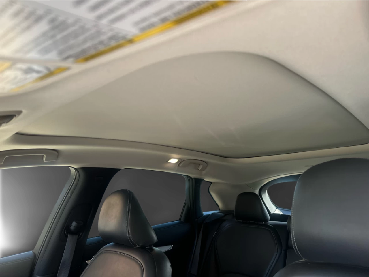2021 Infiniti QX50 LUXE AWD Main Image