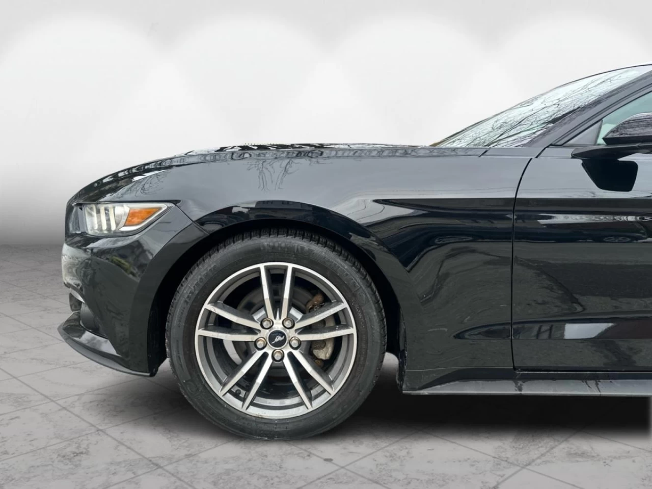 2015 Ford Mustang Fastback EcoBoost Main Image