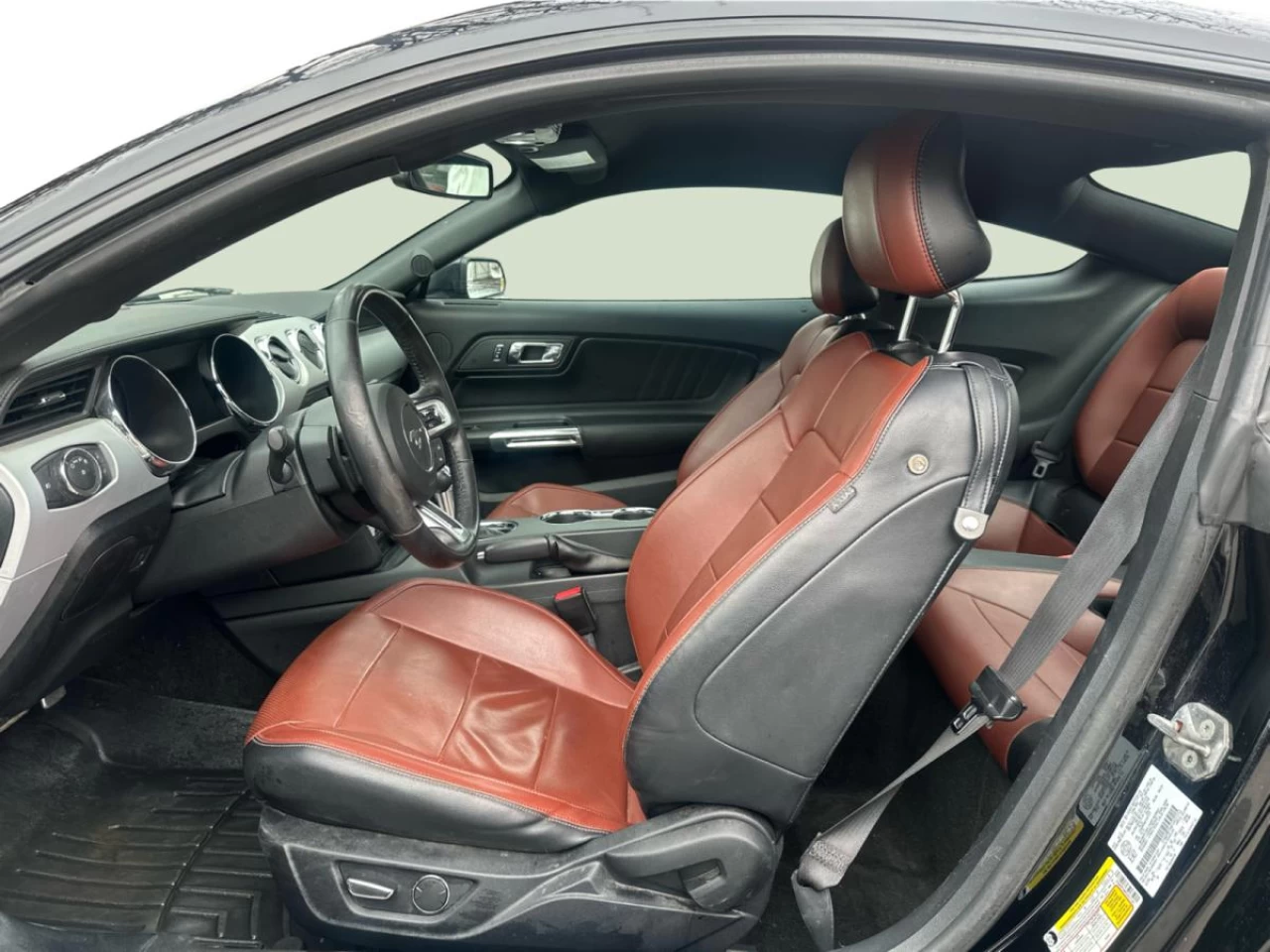 2015 Ford Mustang Fastback EcoBoost Image principale