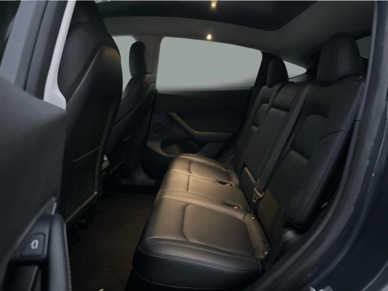 2023 Tesla Model Y RWD Image principale