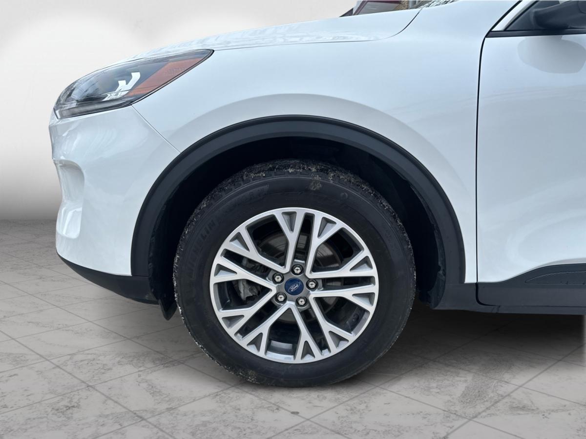 2022 Ford Escape SEL AWD Image principale