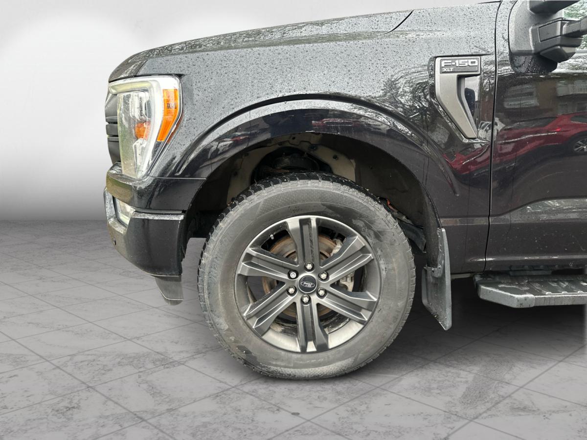 2021 Ford F-150 XL 4WD SuperCrew 5.5' Box Image principale