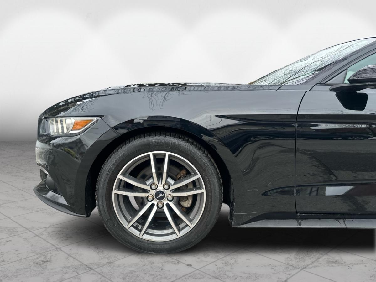 2015 Ford Mustang Fastback EcoBoost Main Image