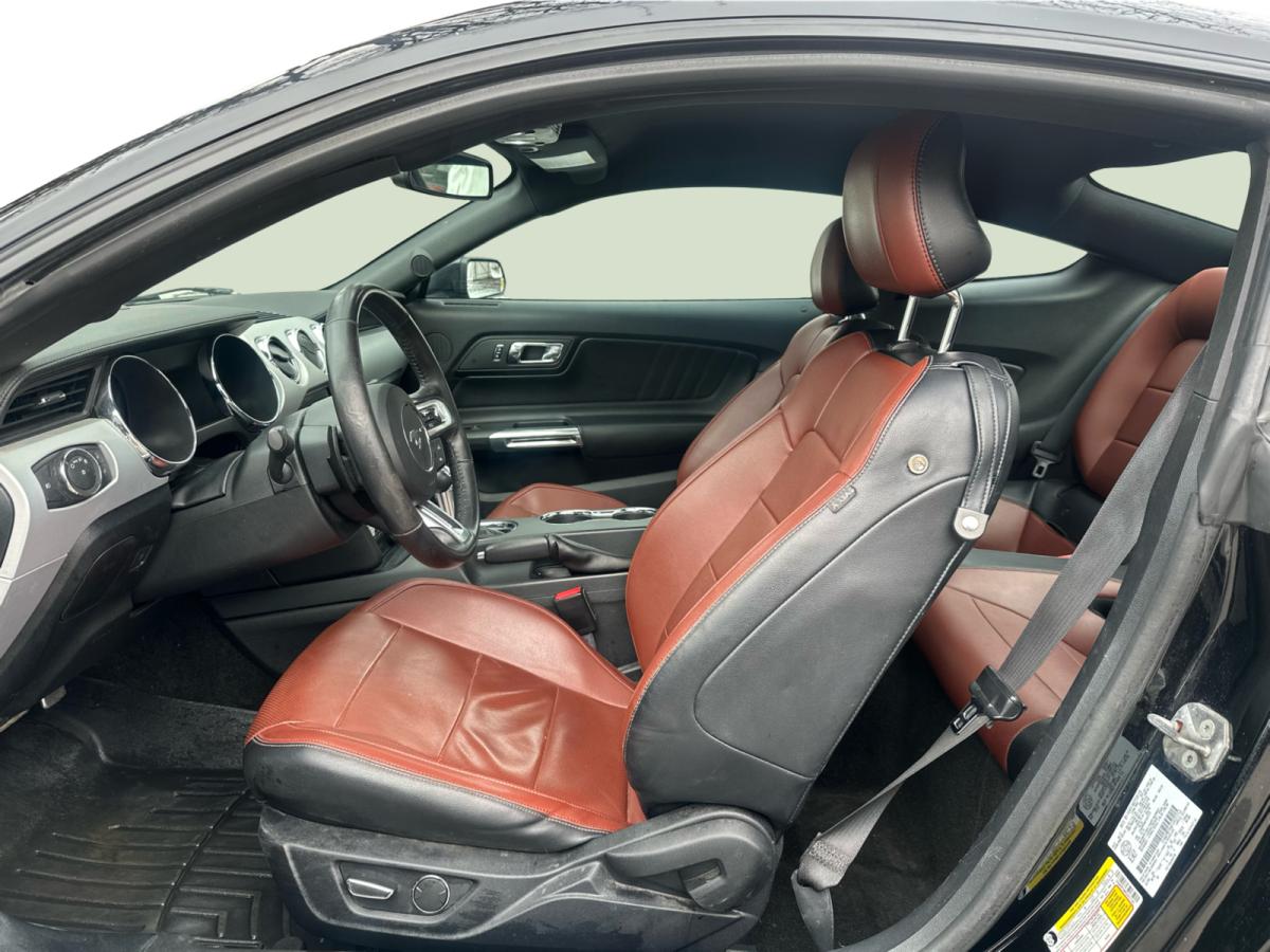 2015 Ford Mustang Fastback EcoBoost Main Image