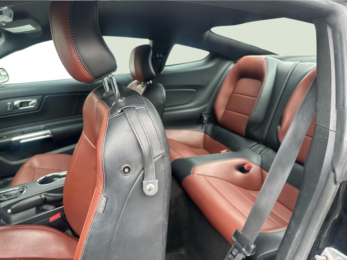 2015 Ford Mustang Fastback EcoBoost Main Image